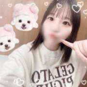 ヒメ日記 2025/03/04 08:19 投稿 くるみ アラモード