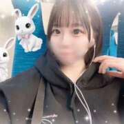 ヒメ日記 2025/03/10 11:32 投稿 くるみ アラモード