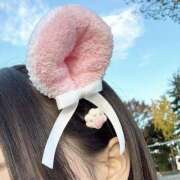 ヒメ日記 2025/03/26 09:24 投稿 くるみ アラモード