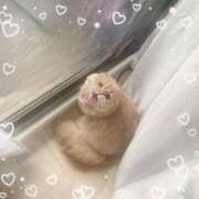 ヒメ日記 2025/04/06 11:55 投稿 くるみ アラモード