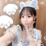 ヒメ日記 2025/04/09 00:36 投稿 くるみ アラモード