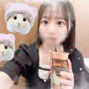 ヒメ日記 2025/04/14 17:45 投稿 くるみ アラモード