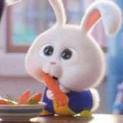 ヒメ日記 2025/06/22 00:55 投稿 くるみ アラモード