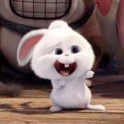 ヒメ日記 2025/06/25 15:21 投稿 くるみ アラモード