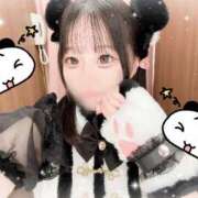 ヒメ日記 2025/11/13 22:07 投稿 くるみ アラモード