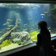 ヒメ日記 2025/03/06 19:05 投稿 一ノ瀬あかり 甲府回春アロマージュ