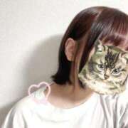 ヒメ日記 2025/03/25 14:38 投稿 一ノ瀬あかり 甲府回春アロマージュ