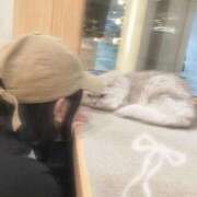 ヒメ日記 2025/10/15 13:41 投稿 一ノ瀬あかり 甲府回春アロマージュ