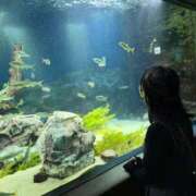 ヒメ日記 2025/11/21 11:16 投稿 一ノ瀬あかり 甲府回春アロマージュ