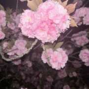 一ノ瀬あかり 足腰は大事です👵🏼 甲府回春アロマージュ