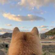 ヒメ日記 2024/12/13 08:35 投稿 さわ 性腺熟女100％（デリヘル市場）