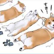 ヒメ日記 2024/12/21 07:47 投稿 さわ 性腺熟女100％（デリヘル市場）