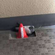 ヒメ日記 2025/01/18 21:15 投稿 さわ 性腺熟女100％（デリヘル市場）