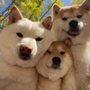 ヒメ日記 2025/01/23 08:29 投稿 さわ 性腺熟女100％（デリヘル市場）