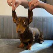 ヒメ日記 2025/01/29 07:33 投稿 さわ 性腺熟女100％（デリヘル市場）