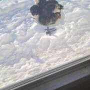 ヒメ日記 2025/02/05 07:31 投稿 さわ 性腺熟女100％（デリヘル市場）