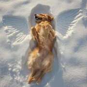 ヒメ日記 2025/02/06 08:16 投稿 さわ 性腺熟女100％（デリヘル市場）