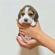 ヒメ日記 2025/03/01 08:30 投稿 さわ 性腺熟女100％（デリヘル市場）