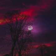 ヒメ日記 2025/03/19 01:03 投稿 さわ 性腺熟女100％（デリヘル市場）