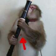 ヒメ日記 2025/03/27 20:28 投稿 さわ 性腺熟女100％（デリヘル市場）