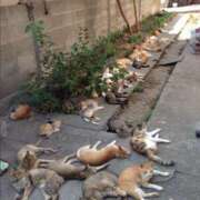 ヒメ日記 2025/04/12 23:36 投稿 さわ 性腺熟女100％（デリヘル市場）