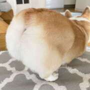 ヒメ日記 2025/04/15 23:38 投稿 さわ 性腺熟女100％（デリヘル市場）