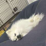 ヒメ日記 2025/04/19 10:48 投稿 さわ 性腺熟女100％（デリヘル市場）