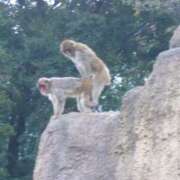 ヒメ日記 2025/04/27 08:28 投稿 さわ 性腺熟女100％（デリヘル市場）