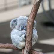 ヒメ日記 2025/04/30 23:29 投稿 さわ 性腺熟女100％（デリヘル市場）