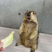 ヒメ日記 2025/05/15 07:43 投稿 さわ 性腺熟女100％（デリヘル市場）