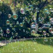 ヒメ日記 2025/06/11 23:24 投稿 さわ 性腺熟女100％（デリヘル市場）