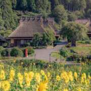 ヒメ日記 2025/08/31 10:21 投稿 さわ 性腺熟女100％（デリヘル市場）