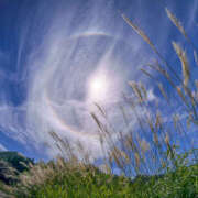 ヒメ日記 2025/09/30 07:07 投稿 さわ 性腺熟女100％（デリヘル市場）