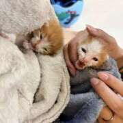 ヒメ日記 2025/09/30 22:23 投稿 さわ 性腺熟女100％（デリヘル市場）