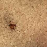 ヒメ日記 2025/10/02 23:18 投稿 さわ 性腺熟女100％（デリヘル市場）