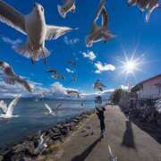 ヒメ日記 2025/11/24 10:28 投稿 さわ 性腺熟女100％（デリヘル市場）