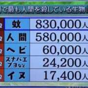 ヒメ日記 2025/12/16 07:38 投稿 さわ 性腺熟女100％（デリヘル市場）