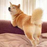 ヒメ日記 2026/01/22 23:12 投稿 さわ 性腺熟女100％本店（デリヘル市場）