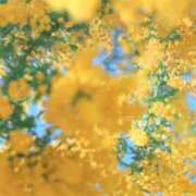 ヒメ日記 2026/01/23 07:53 投稿 さわ 性腺熟女100％本店（デリヘル市場）