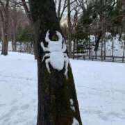 ヒメ日記 2026/01/30 07:41 投稿 さわ 性腺熟女100％本店（デリヘル市場）