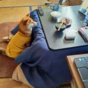 ヒメ日記 2026/02/08 07:44 投稿 さわ 性腺熟女100％本店（デリヘル市場）