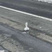 ヒメ日記 2026/02/09 21:56 投稿 さわ 性腺熟女100％本店（デリヘル市場）