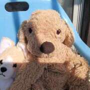 ヒメ日記 2026/02/14 10:21 投稿 さわ 性腺熟女100％本店（デリヘル市場）