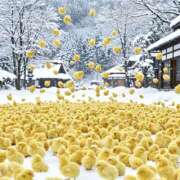 ヒメ日記 2026/02/18 22:25 投稿 さわ 性腺熟女100％本店（デリヘル市場）