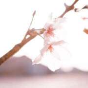 ヒメ日記 2026/03/11 07:06 投稿 さわ 性腺熟女100％（デリヘル市場）