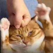 ヒメ日記 2026/03/19 07:49 投稿 さわ 性腺熟女100％本店（デリヘル市場）