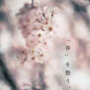 ヒメ日記 2026/03/24 08:01 投稿 さわ 性腺熟女100％本店（デリヘル市場）