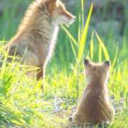 ヒメ日記 2026/03/24 08:17 投稿 さわ 性腺熟女100％本店（デリヘル市場）