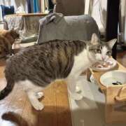 ヒメ日記 2026/04/02 23:30 投稿 さわ 性腺熟女100％本店（デリヘル市場）