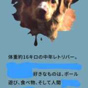 ヒメ日記 2026/05/21 07:53 投稿 さわ 性腺熟女100％本店（デリヘル市場）